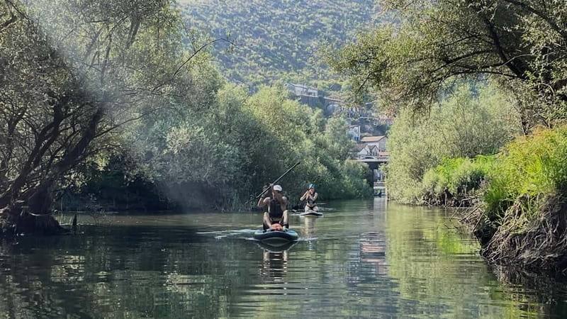 Skadar Lake: Kayak & Paddle board Rental - Safety and Equipment: Ensuring a Confident Paddling Experience