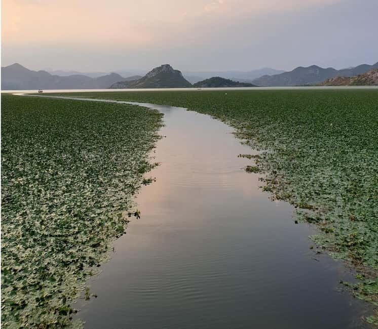 Skadar Lake kayak rent: A Journey Through Tranquility - Scenic Stops and Photo Opportunities on Skadar Lake