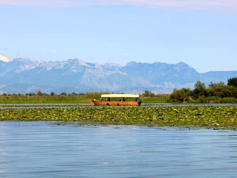 Skadar Lake National Park: Guided Boat Tour with Wooden Boat - Departing from the Fishing Village of Virpazar