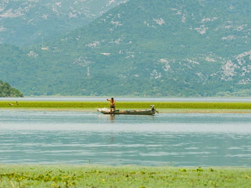 Skadar Lake National Park: Guided Boat Tour with Wooden Boat - Swimming in Lake Skadar’s Refreshing Waters