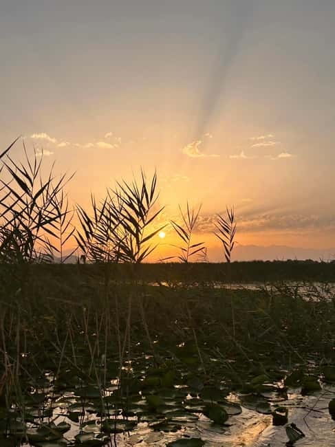 Skadar Lake Private Boat Tour with Wine Tasting - Practical Details: Safety and Group Size