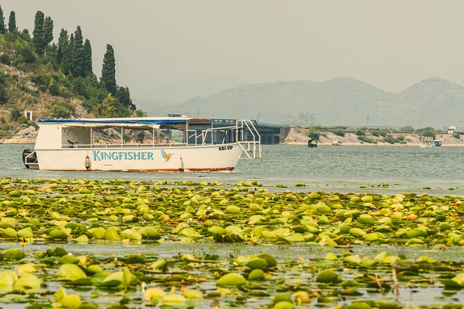 Skadar Lake Short Guided Tour: Discover the Montenegrin Alcatraz - Key Points