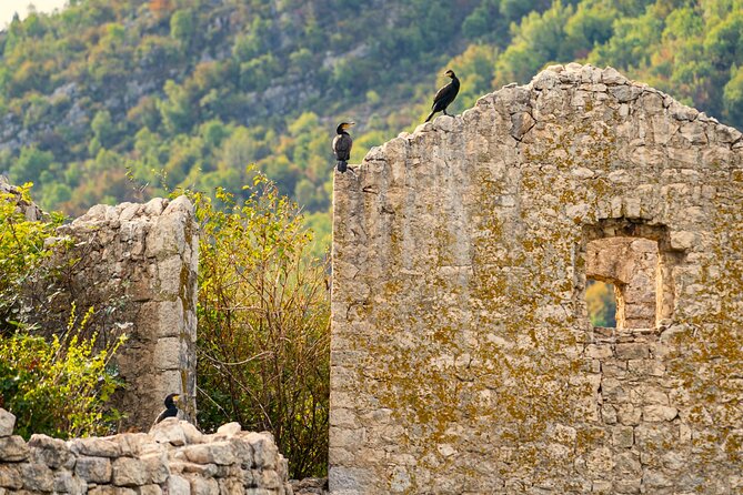 Skadar Lake Short Guided Tour: Discover the Montenegrin Alcatraz - Pacing and Group Size