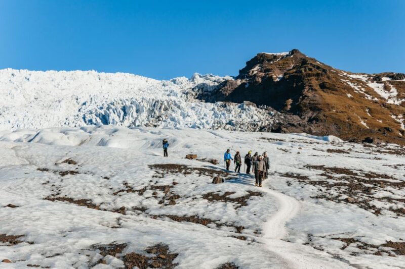 Skaftafell: Falljokull Glacier Easy Group Hike - The Unique Advantage of an Expert-Led Ice Walk