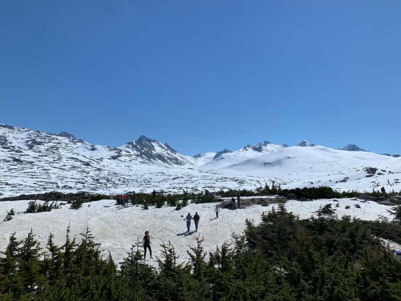 Skagway City & Mountain Summit Tour - The Guide’s Knowledge and Personalities