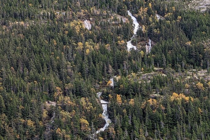 Skagway City & Summit Tour - Tour Guides and Narration Style