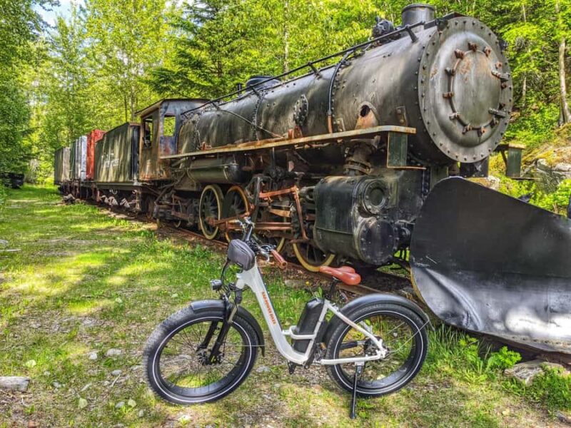 Skagway: E-Bike Rental - Discovering the Taiya River Delta’s Natural Beauty