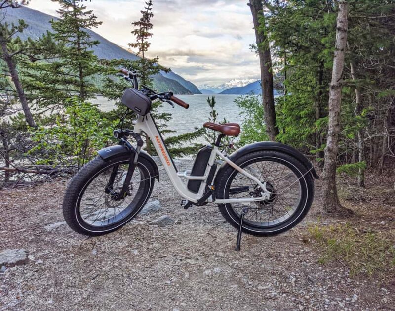 Skagway: E-Bike Rental - Suitability and Physical Requirements