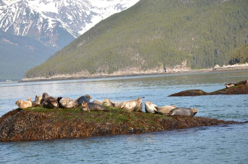 Skagway: Ocean Raft Adventure Along Scenic Coastline - Key Points