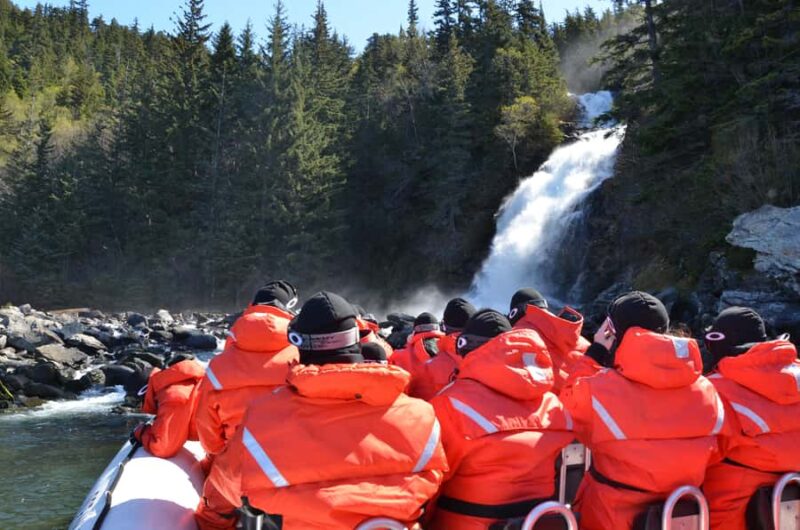 Skagway: Ocean Raft Adventure Along Scenic Coastline - Optimal Wildlife Spotting and Photo Opportunities