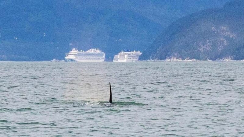 Skagway: Ocean Raft Adventure Along Scenic Coastline - Frequently Asked Questions