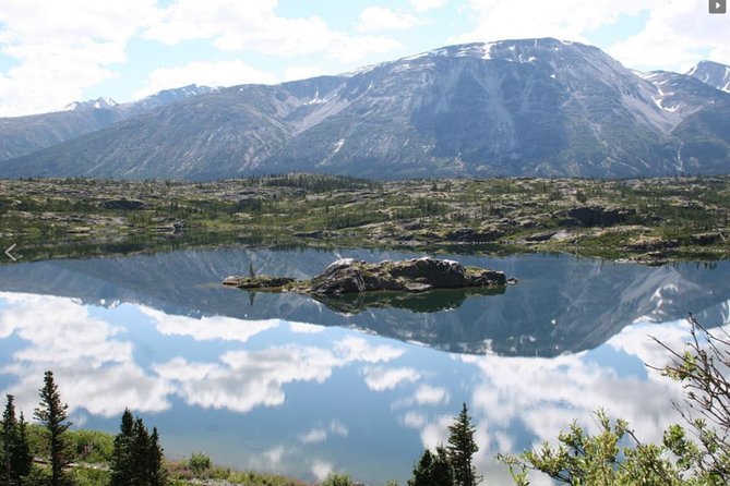 Skagway Shore Excursion: Yukon Dog Sledding and Sightseeing Tour - Dog-Sledding and Puppy Encounters in Yukon