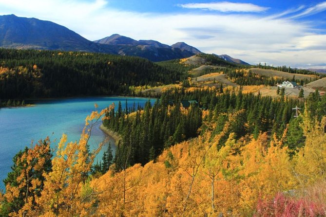 Skagway Shore Excursion: Yukon Dog Sledding and Sightseeing Tour - Weather and Clothing Recommendations