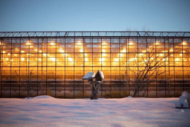 Skarfabakki: Golden Circle Small-Group Full-day Tour - Considerations and Limitations