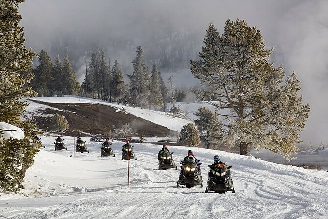 Ski-doo Snow Safari in Borovets - Key Points