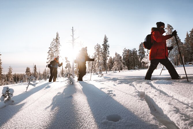 Ski Trekking Safari in Lapland - The Experience Begins at Rovakatu 24 in Rovaniemi, Finland