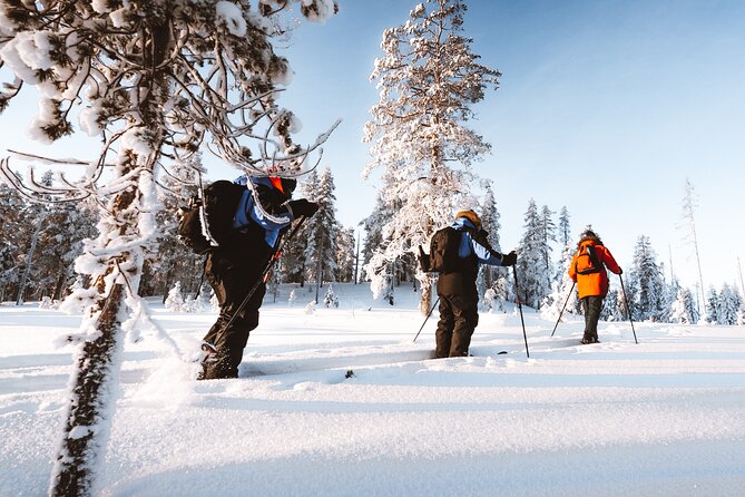 Ski Trekking Safari in Lapland - Flexibility and Cancellation Policies