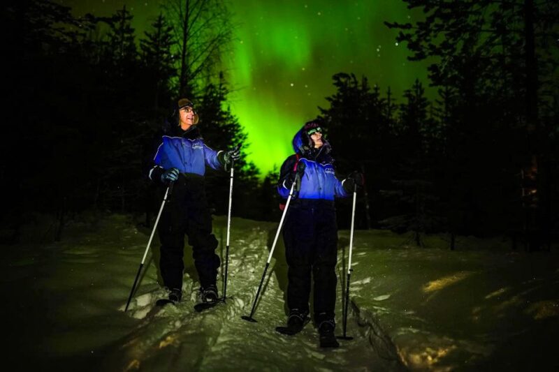 Ski Trekking under the Northern Lights - Exploring Deep Snow with Backcountry Skis