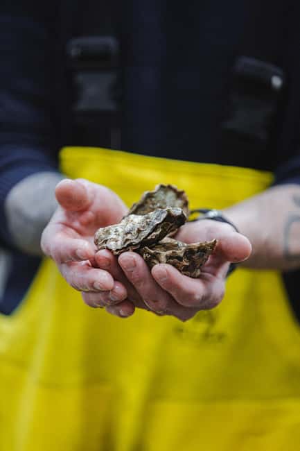 Skibby: Oyster and Blue Mussel Foraging Experience - Expert Guidance from The Shepherd