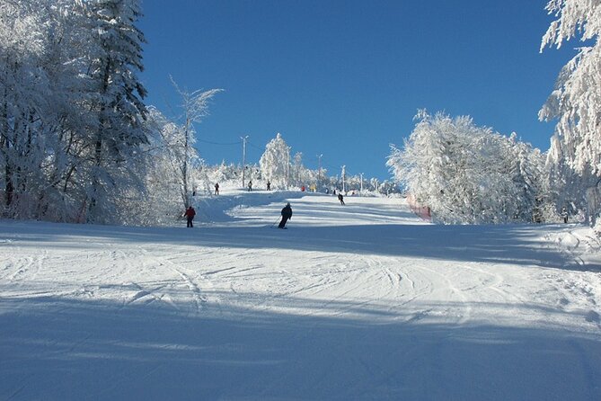 Skiing For Beginners - Private Day Trip from Krakow - The 2-Hour Ski Lesson with a Licensed Instructor