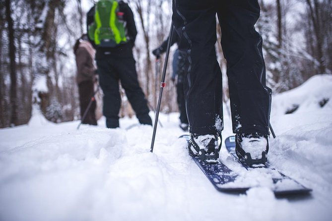 Skiing (Hok Ski) Excursion in Jacques-Cartier National Park - Discover the Unique Sport of Ski-Shoeing in Jacques-Cartier National Park