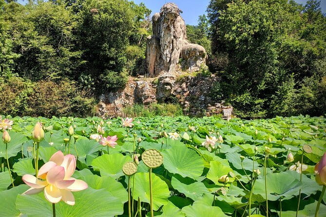 Skip the line: Accademia Gallery small group tour - Cancellation and Booking Details