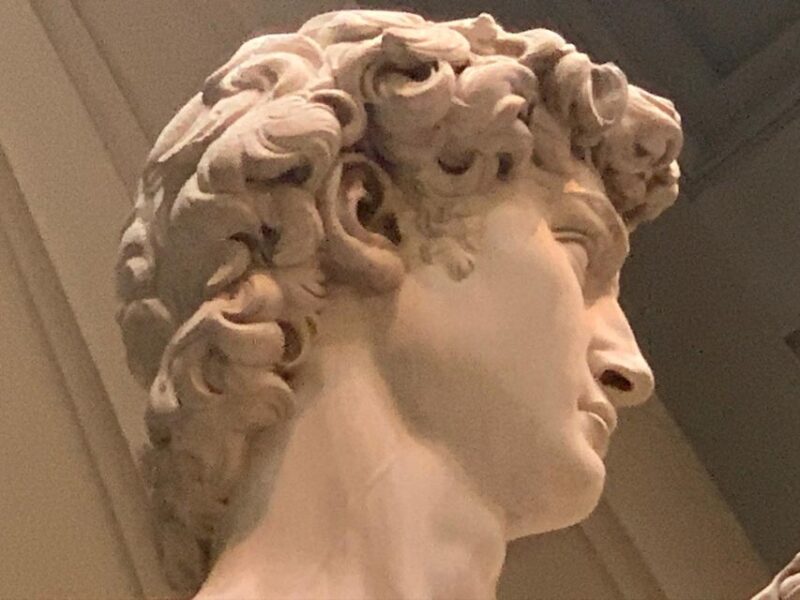 Skip-the-Line Accademia Tour  See Michelangelos David! - Key Points