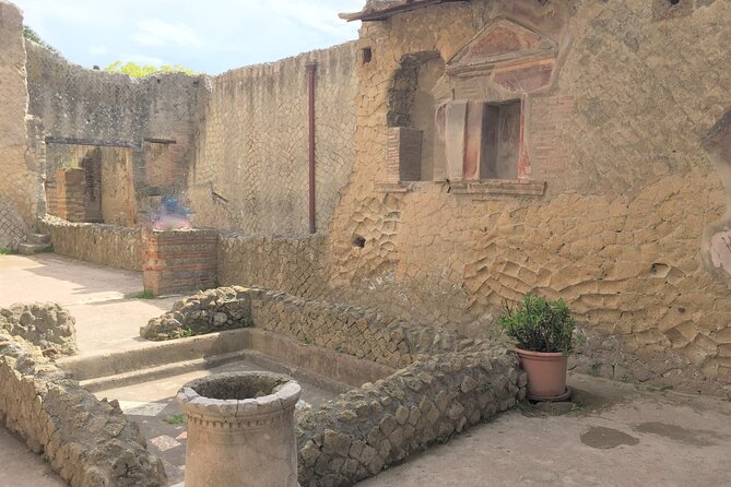 Skip the Line Ancient Herculaneum Walking Tour with Top Rated Guide - The Pacing and Experience of the Tour