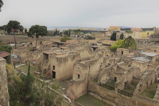 Skip the Line Ancient Herculaneum Walking Tour with Top Rated Guide - Who Will Appreciate This Tour?
