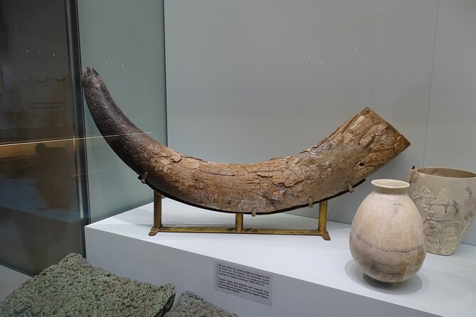 Skip the Line-Archaeol Museum/Knossos Palace-Private Guided Tour - Flexibility and Customization