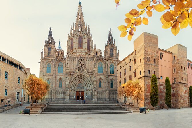 Skip-the-line Barcelona Cathedral with Private Guide - Transport Options for Extended Tours
