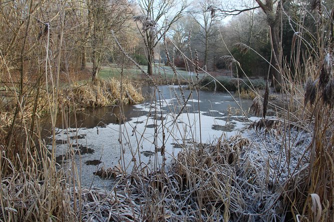 Skip-the-Line: Botanic Garden Entry Ticket - Exploring the Dundee Botanic Gardens Geographical Plantings
