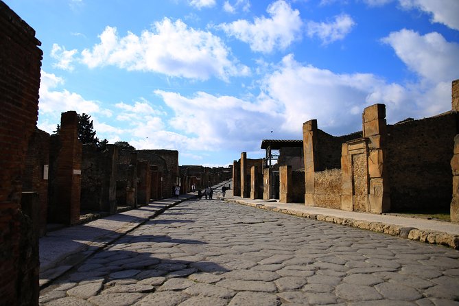 Skip-the-Line Exclusive Private Ancient Pompeii & Vesuvius Volcano Full Day Tour - Cost and Value Considerations