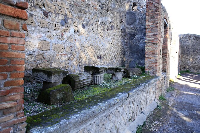 Skip-the-line Exclusive Private Full-Day Complete Ancient Pompeii Guided Tour - The Benefits of a Private Pompeii Tour with Skip-the-Line Access