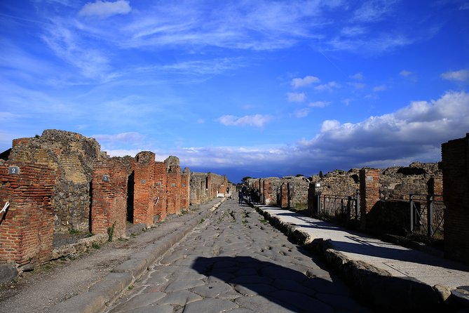 Skip-the-line Exclusive Private Full-Day Complete Ancient Pompeii Guided Tour - Visiting the Forum and Market of Ancient Pompeii