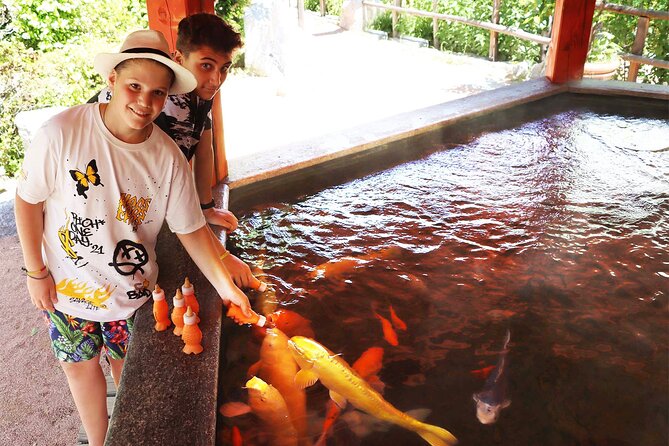 Skip the Line: Falconeria Locarno Ticket - Explore the Majestic Birds of Falconeria Locarno for $36.09