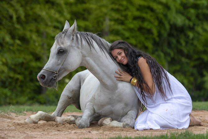 Skip the Line: Falconeria Locarno Ticket - What’s Included and What’s Not