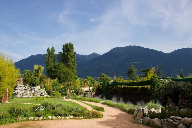 Skip the Line: Falconeria Locarno Ticket - How This Tour Compares to Similar Experiences