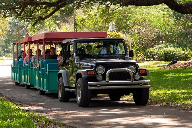 Skip the Line: Flamingo Gardens Admission Ticket in Fort Lauderdale - The Tram Tour: A Scenic Ride Through the Gardens and Sanctuary