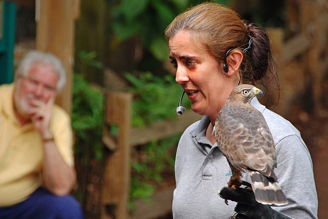 Skip the Line: Flamingo Gardens Admission Ticket in Fort Lauderdale - Wildlife Encounter Shows: Learning About Birds and Reptiles