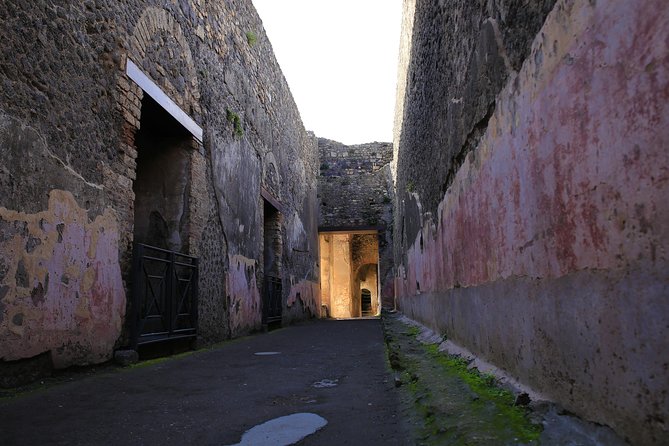 Skip the Line Guided Tour of Pompeii Led by an Archaeologist - The Forum and Roman Daily Life