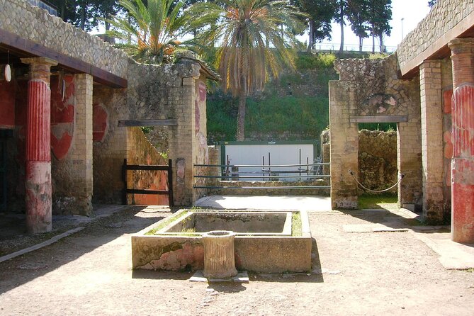 Skip the line Herculaneum Guided Tour from Sorrento - The House of the Deer and Its Artistic Treasures