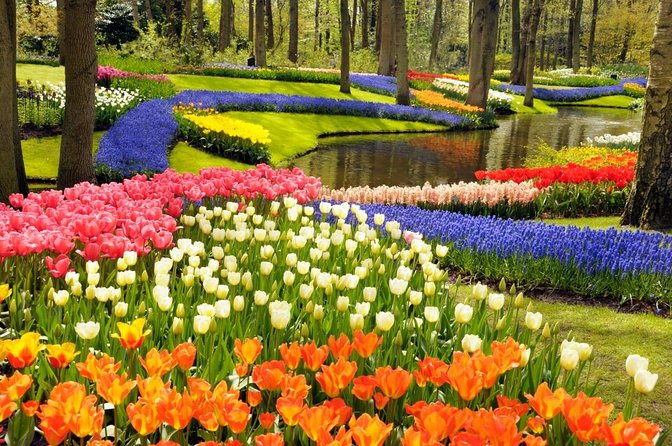 Skip-the-Line Keukenhof Gardens and Tulip Fields Tour from Amsterdam - Explore Keukenhof Gardens with Priority Access and Private Guide Service