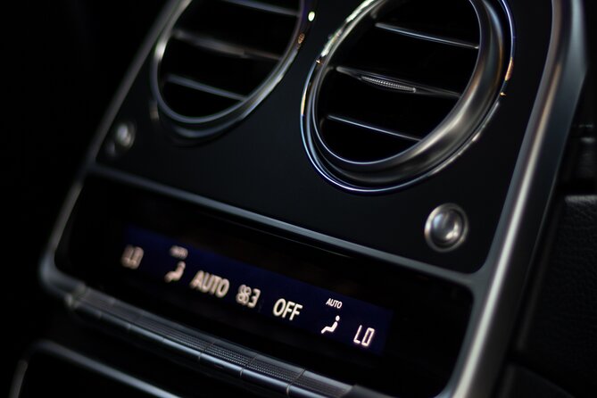 Skip-the-Line Keukenhof Gardens and Tulip Fields Tour from Amsterdam - The Gardens: A Spectacle of 7 Million Blooms