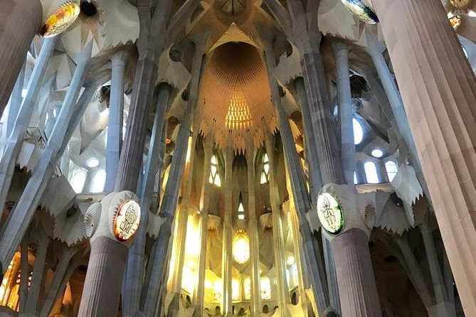 Skip The Line : La Sagrada Familia Guided Tour - Highlights of La Sagrada Familia’s Architectural Marvels