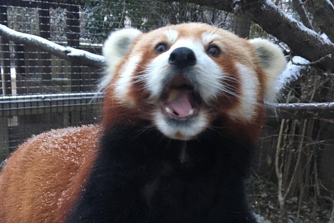 Skip the Line: Miller Park Zoo General Admission Ticket - Miller Park Zoo Entrance and Parking Convenience