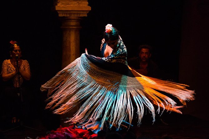Skip the Line: Museo del Baile Flamenco Admission Ticket - The Flamenco Show: An Optional Add-On