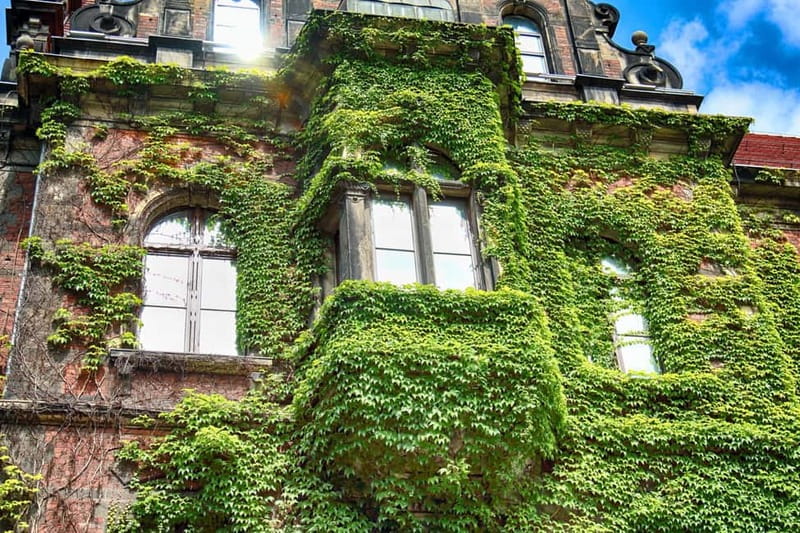 Skip-the-line National Museum and Old Town Private Tour - Why Choose This Tour: A Well-Balanced Cultural Experience