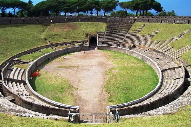 Skip-the-Line Pompeii and Vesuvius Tour - Who Will Appreciate This Tour