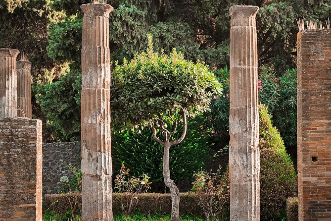 Skip the line Pompeii guided tour from Sorrento - Suitability, Accessibility, and Practical Tips